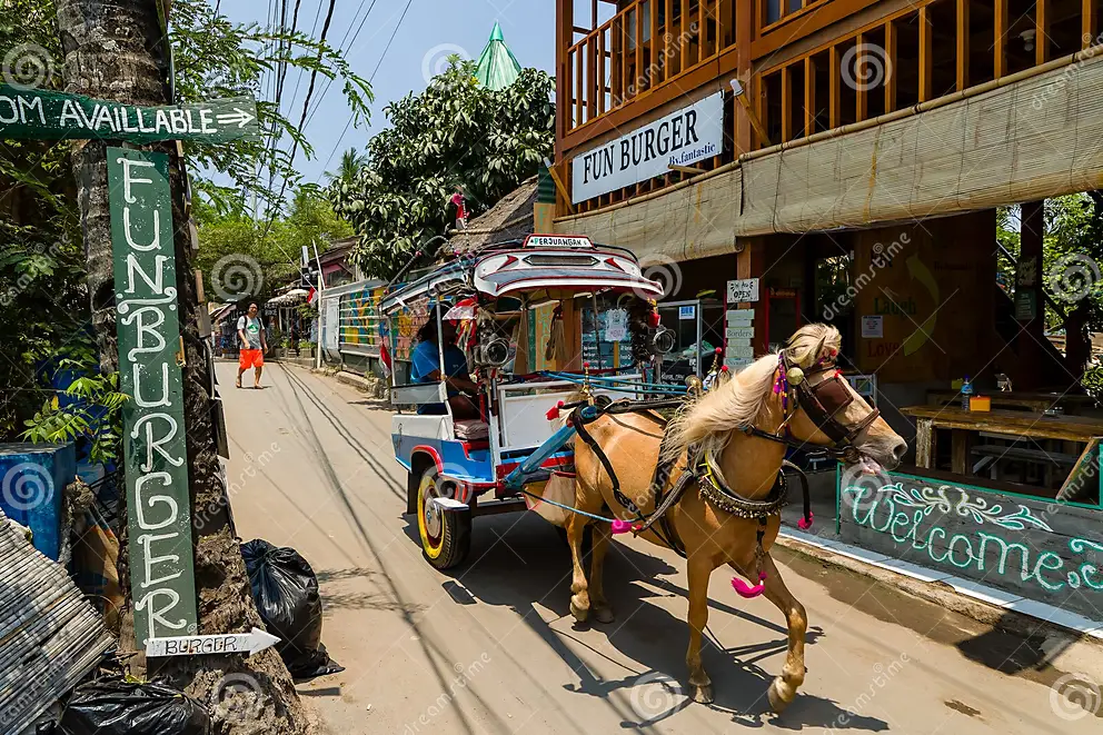 CIDOMO Horse Charter